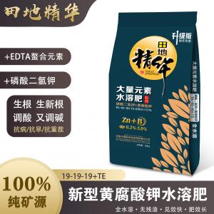 19-19-19+TE 磷酸二氫鉀型